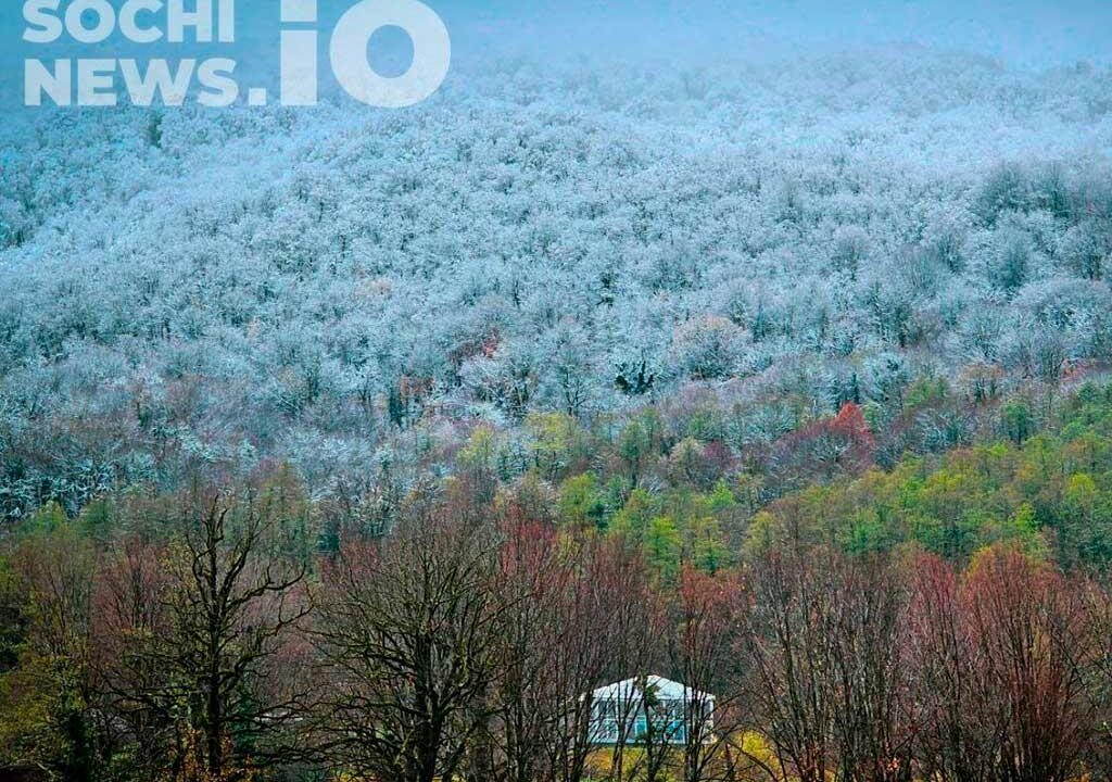 Сильные снегопады ожидаются в горах Сочи 13 декабря. Прогнозируется, что количество осадков может достигнуть 20-25 мм, сообщили в администрации курорта. В связи с этим, въезд в горный кластер на летней резине временно запрещен. Городские службы усилили работу и контролируют ситуацию с помощью оперштаба. В случае чрезвычайной ситуации, необходимо немедленно звонить по номеру 112, напомнили власти Сочи. (Фото: sochinews.io)
