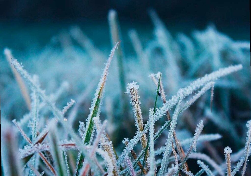 Шторм, снег и гололед: погода в Сочи на 26 февраля