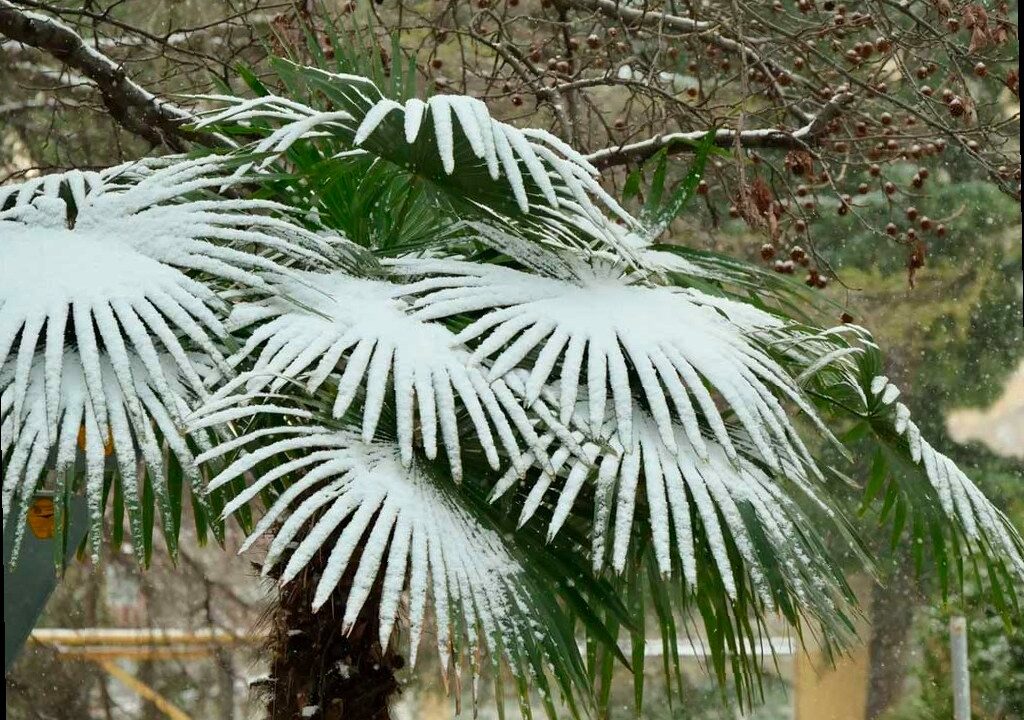 В предгорьях и горах Сочи прогнозируют снег и гололед